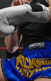 BACK TO THE KICKBOXING